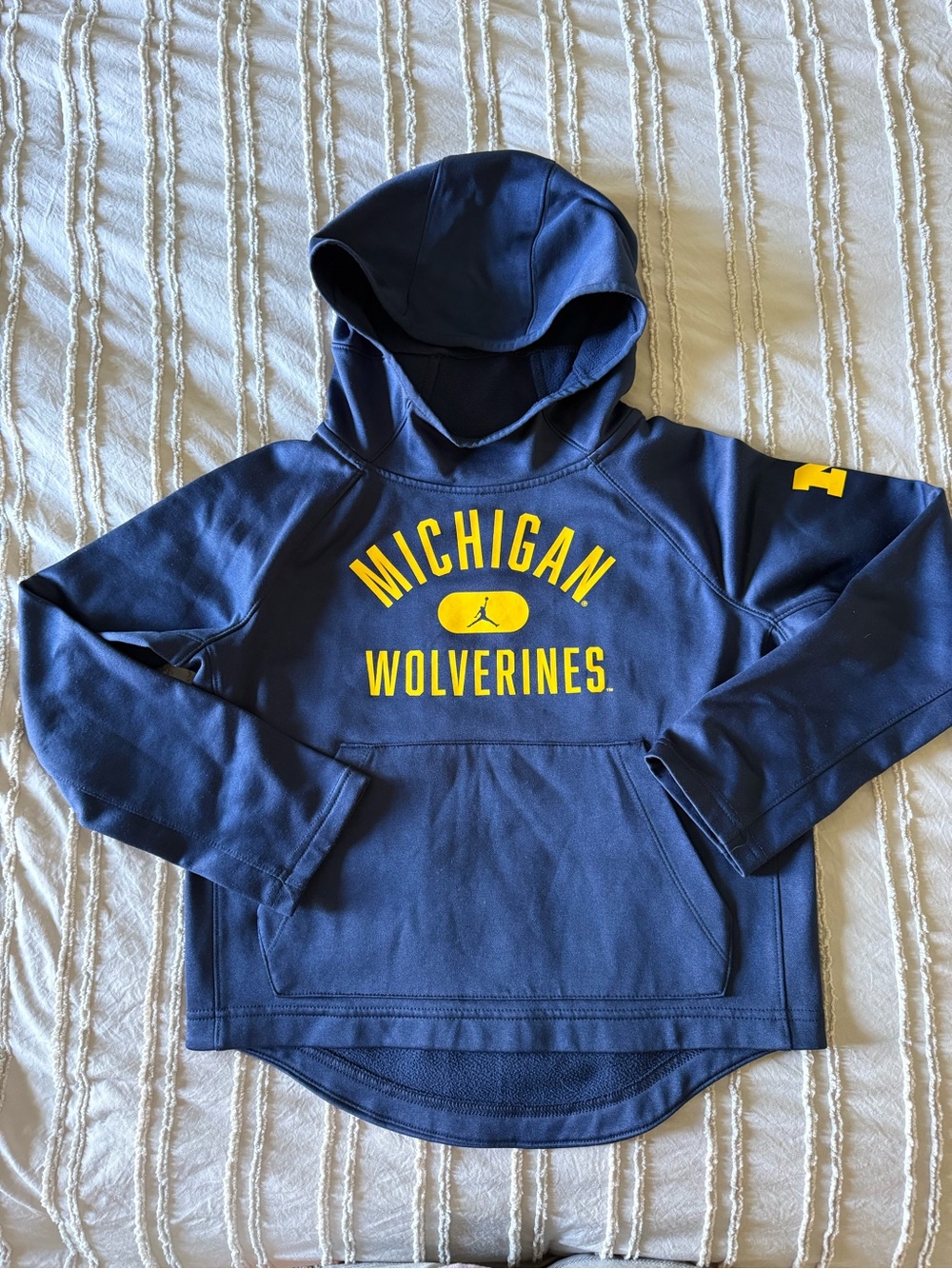 Jordan Navy & Yellow Michigan Wolverines Hooded Sweatshirt